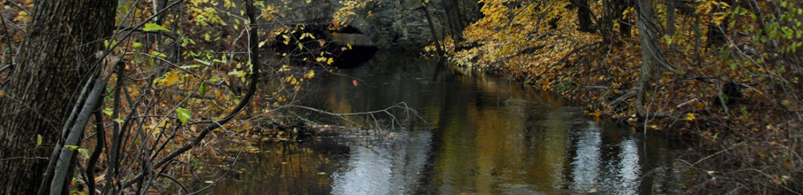 River in October